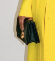 BV Pre-Fall 2019 Detail 11.png