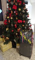 IMG_20181215_1205145~2.jpg