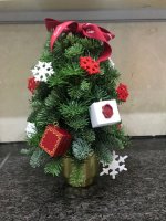 IMG_9682.jpeg