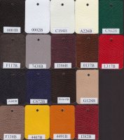 Venezia - Color Chart.jpg