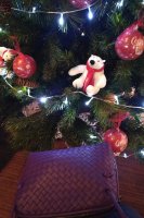 IMG_20181222_1625170.jpg