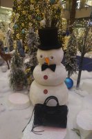 IMG_20181223_1730165.jpg