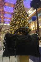 IMG_20181223_1722571.jpg