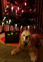 20181222_211451.jpg