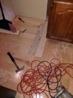 IMG_20190101_161544504.jpeg