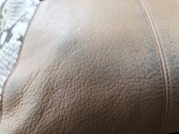 IMG_2310.jpeg