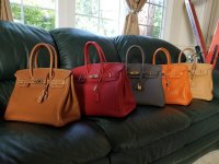 Birkins.jpg