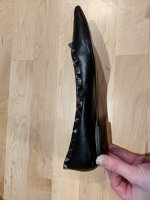 IMG_20190112_184018.jpg