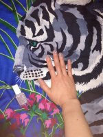 IMG_20190116_101032245.jpg