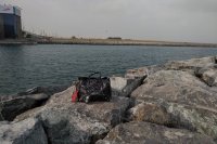 IMG_20190119_0848503.jpg