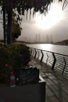IMG_20190119_0844076.jpg