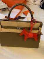 IMG_3497.jpeg