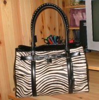 zebra.jpg