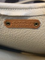 IMG_2420.jpeg