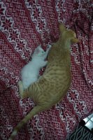 IMG_20190125_2125162.jpg