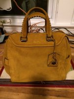 Coach Ace Honey Suede - front.JPG