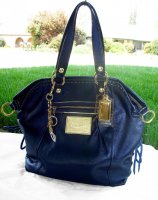 Poppy spotlight sapphire006.jpg