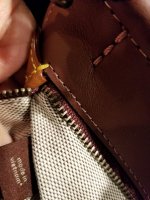 Resized_20190128_001500_5266.jpeg