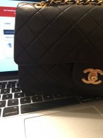 IMG_9245.jpeg