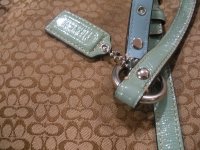 coach2 010.JPG