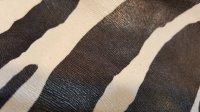 20190130_211118.jpg