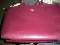 coach 001.JPG