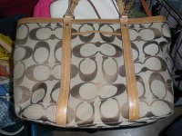 coach4 001.JPG