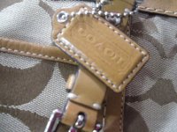 coach4 003.JPG