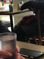 image.jpeg