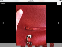 IMG_1381.PNG
