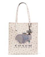 tote1.jpg