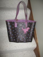 Coach 001.JPG