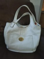 Ergo Tote.jpg