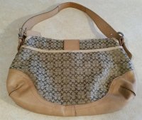 mchammerskin fake coach back.jpg