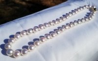 20190213_105858.jpg