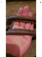 D29194C5-4F5F-41EE-8FF6-E7D4816E5677.png