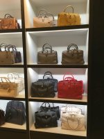 Rosemont_Feb25_2019_004.jpg