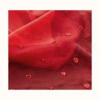 mousseline-love-embroidered-scarf-70--943380S 02-detail-3-300-0-1920-1920-q40_b.jpg