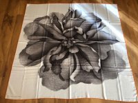 IMG_3320.jpeg