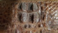 20190303_200147.jpg
