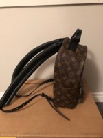 Louis Vuitton Palm Springs Backpack Mini Vs Pm 3759