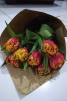 IMG_20190307_2100376.jpg