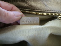 DSCF5551.JPG