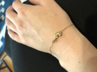cartier panther 2 v2.jpg