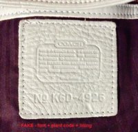 1996_D-plant-FAKE-Italy-K6D-4926-a.JPG