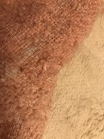 IMG_6237.jpeg
