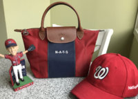 NATS - 1.jpg