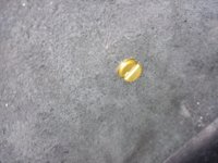 20190317_095435.jpg