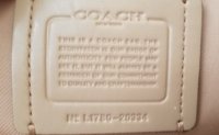 coach 4.jpg