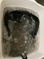 FDBB8384-E7E0-475B-B4C7-AC6CBFE8A5F8.jpeg